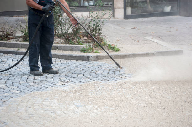 Best Winterizing Services  in Central City, IA