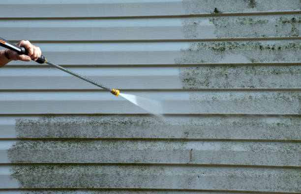 Best Patio and Deck Pressure Washing  in Central City, IA