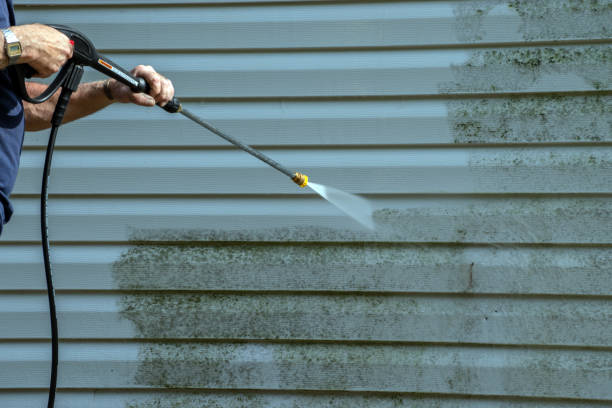 Best Boat and Dock Cleaning  in Central City, IA